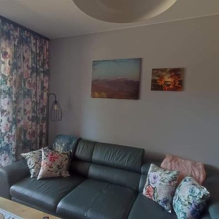 Lux Apartament Odkryj - Bieszczady 우스트르치키 돌네 외부 사진