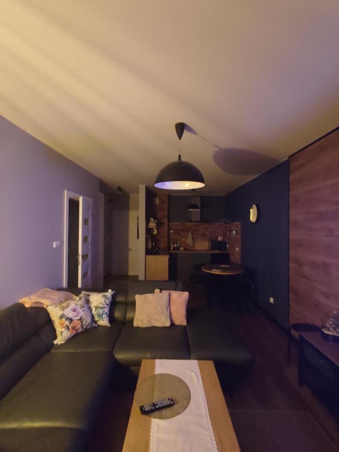 Lux Apartament Odkryj - Bieszczady 우스트르치키 돌네 외부 사진