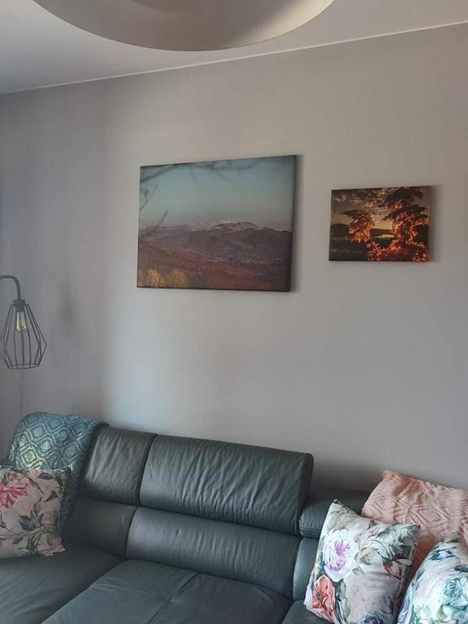 Lux Apartament Odkryj - Bieszczady 우스트르치키 돌네 외부 사진